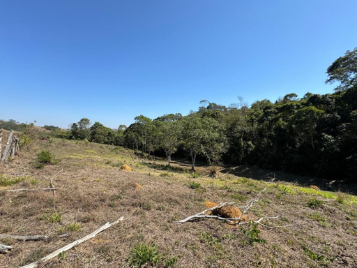 Foto cadastro cód. 9691