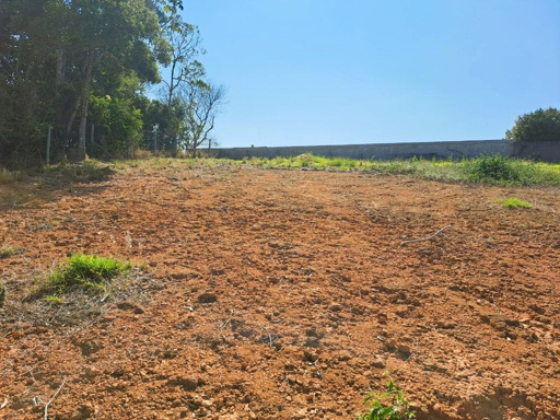 Foto cadastro cód. 9814