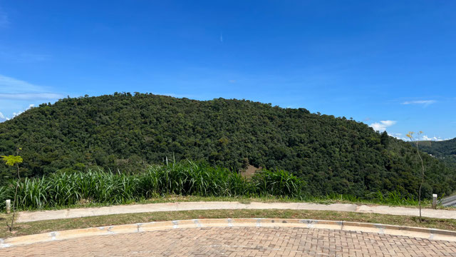 Foto cadastro cód. 254