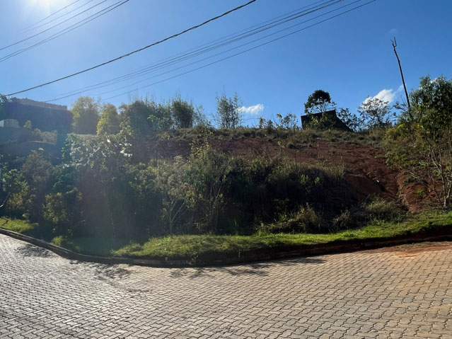 Foto cadastro cód. 258