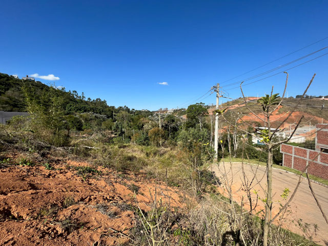 Foto cadastro cód. 258