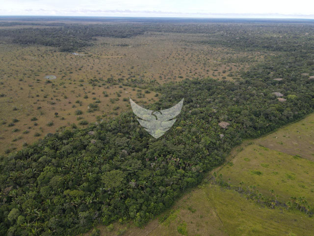 Foto cadastro cód. 2024
