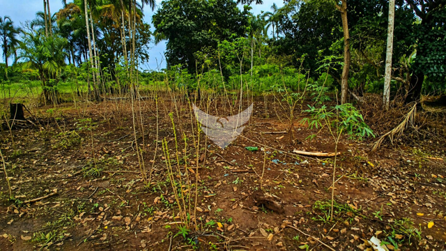 Foto cadastro cód. 2358