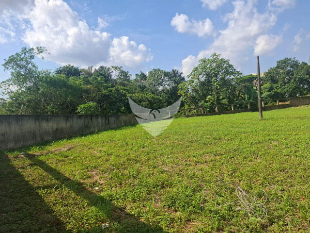 Foto cadastro cód. 2541