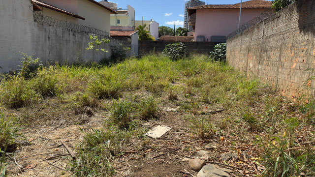 Foto cadastro cód. 234