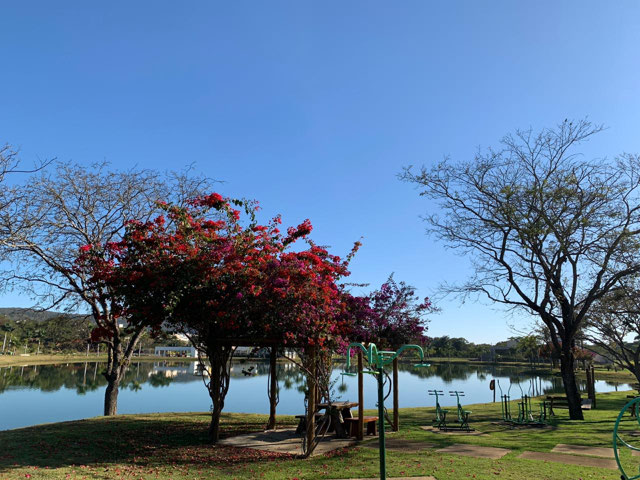 Foto cadastro cód. 269