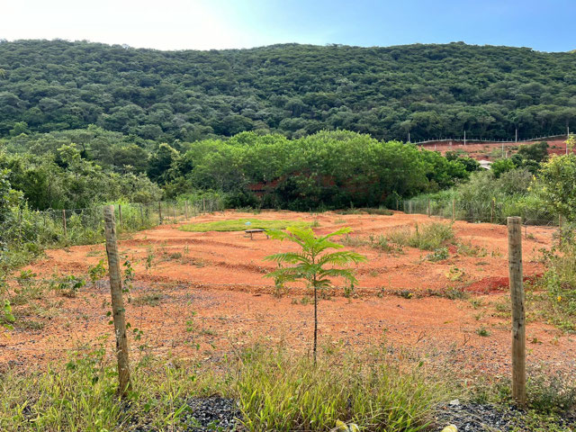 Foto cadastro cód. 42