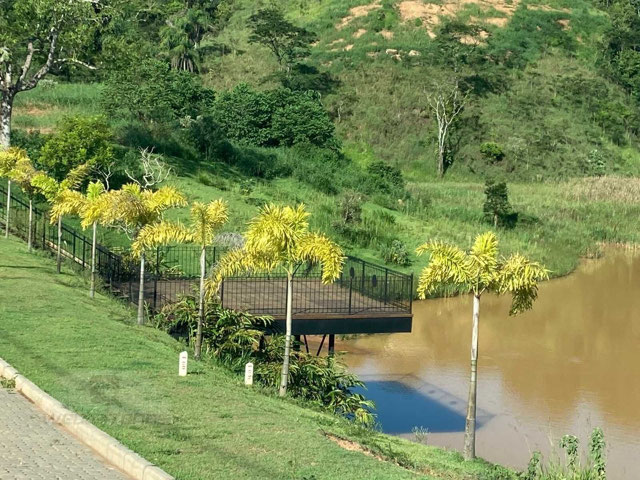 Foto cadastro cód. 19