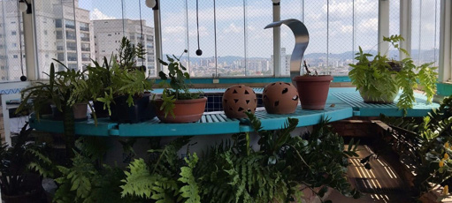 Foto cadastro cód. 13062