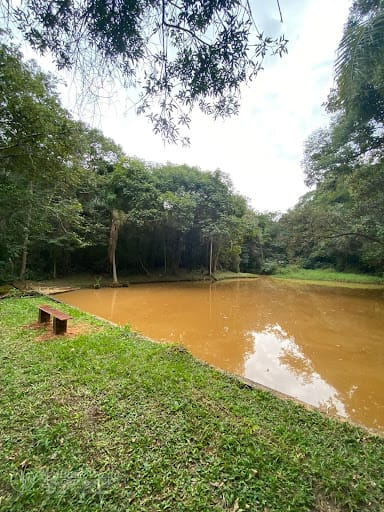 Foto cadastro cód. 9